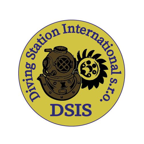 Pronájem Potápěčská